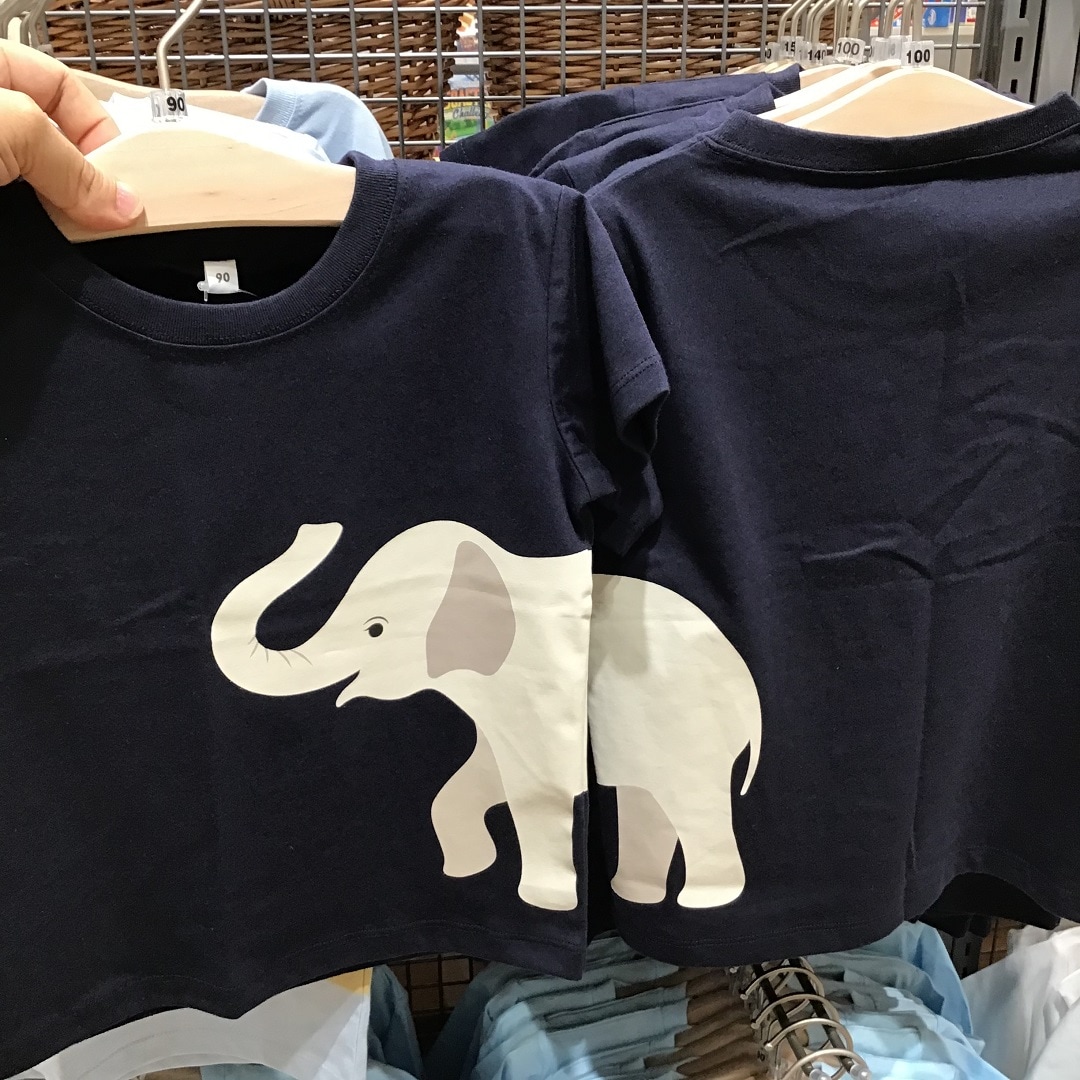 ゾウ