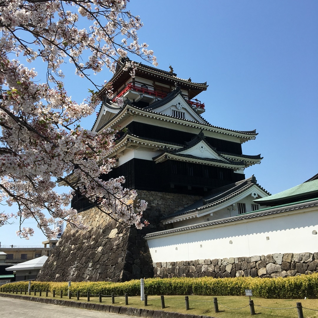 清洲城と桜