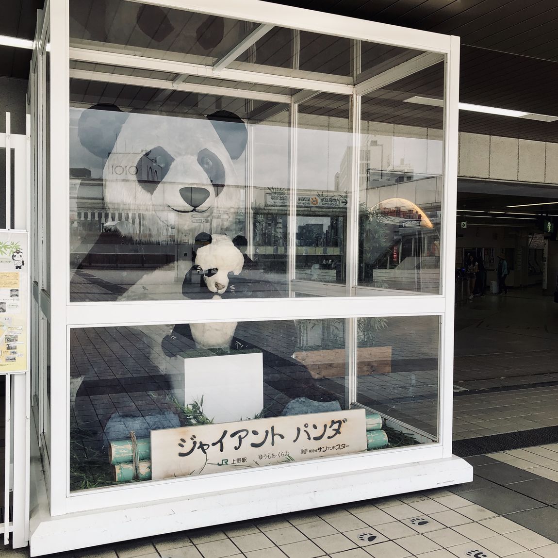 【Cafe&MealMUJI上野マルイ】パンダ