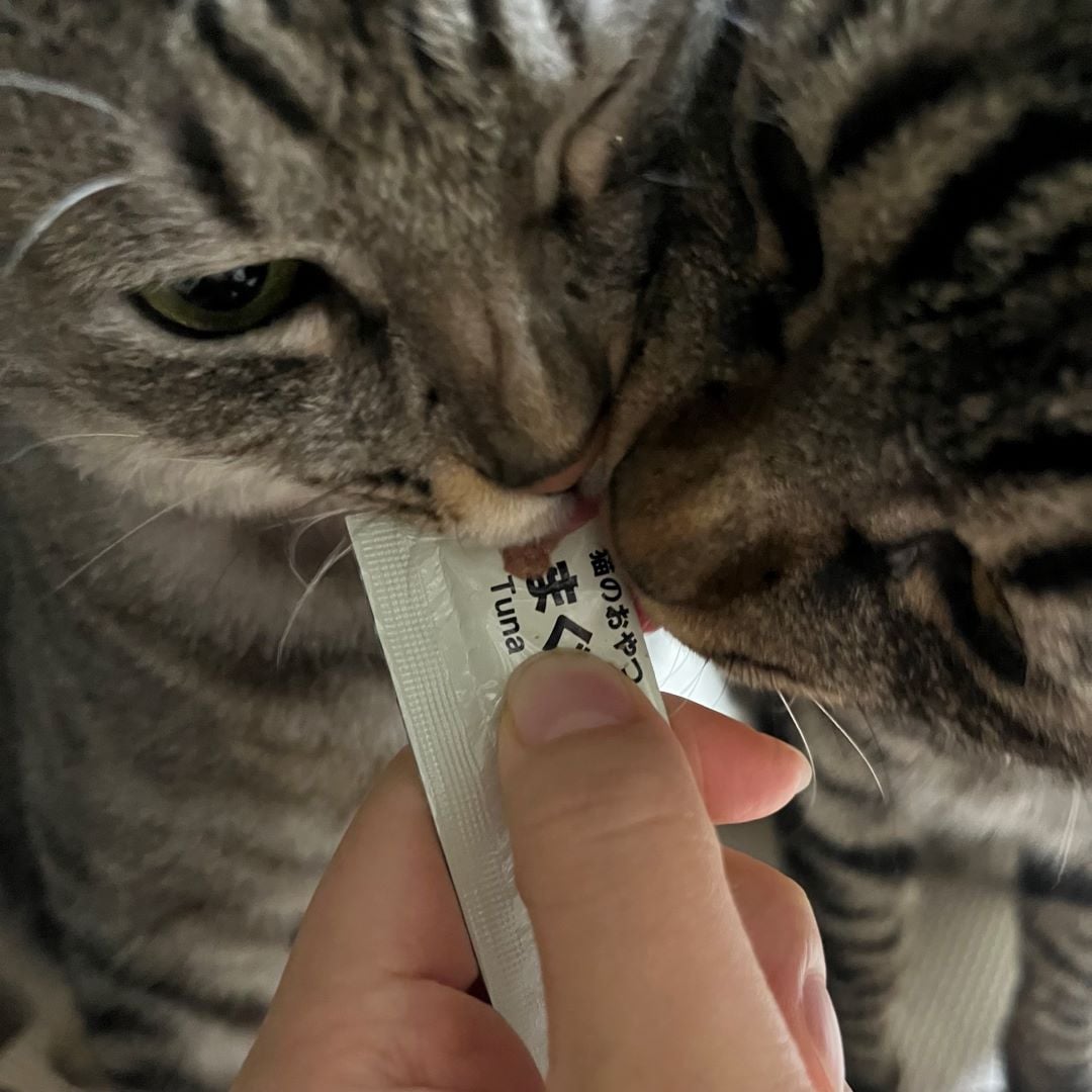 写真4枚目