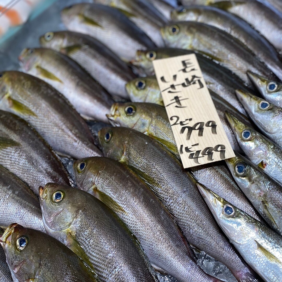 長崎県産いさき