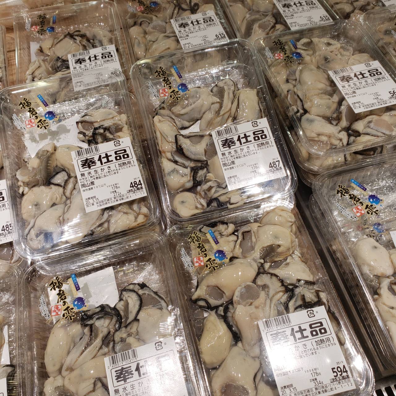 【堺北花田】鮮魚売場、今日のおすすめ