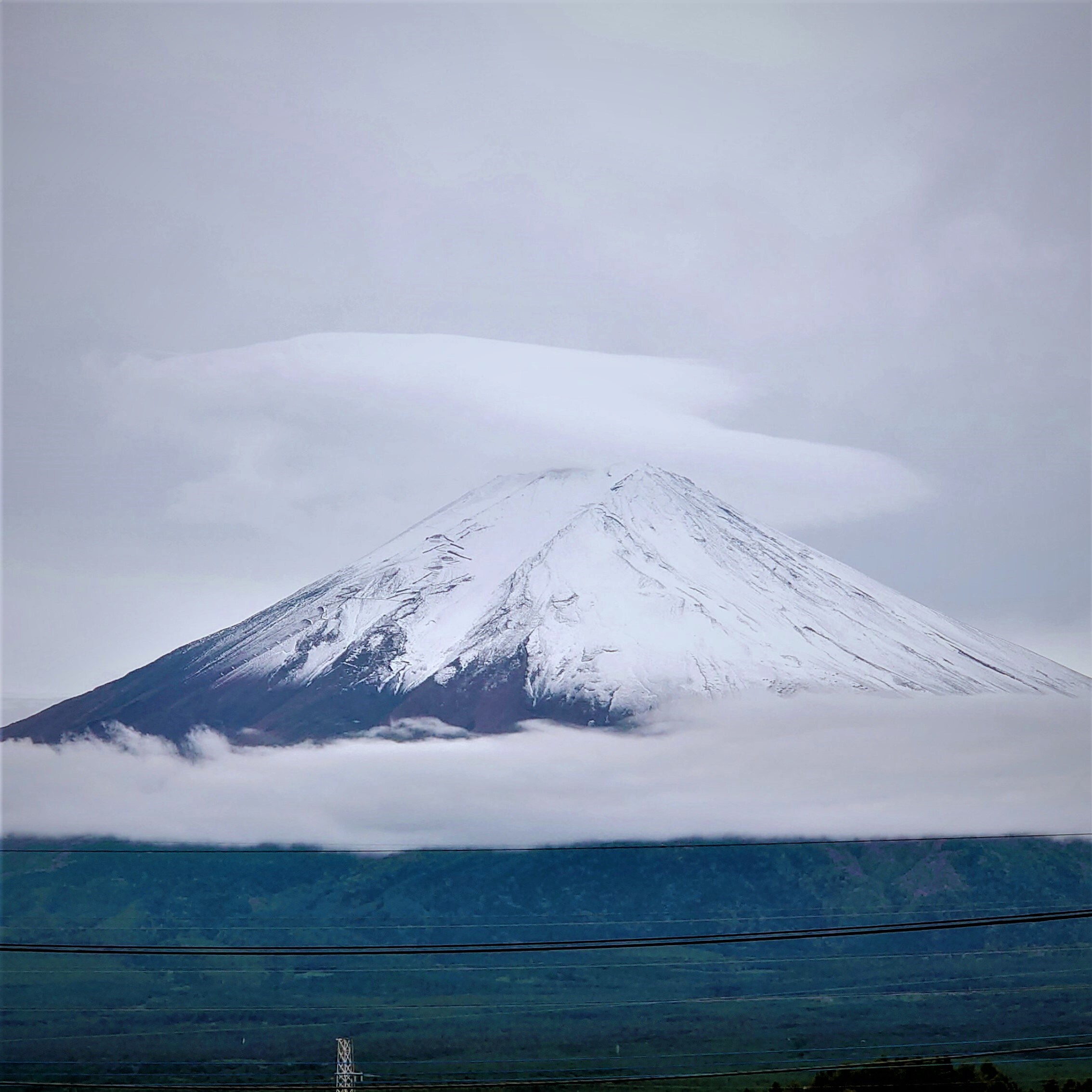 富士山