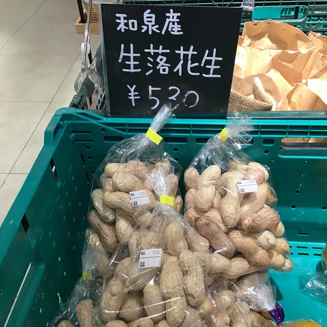落花生.JPG 