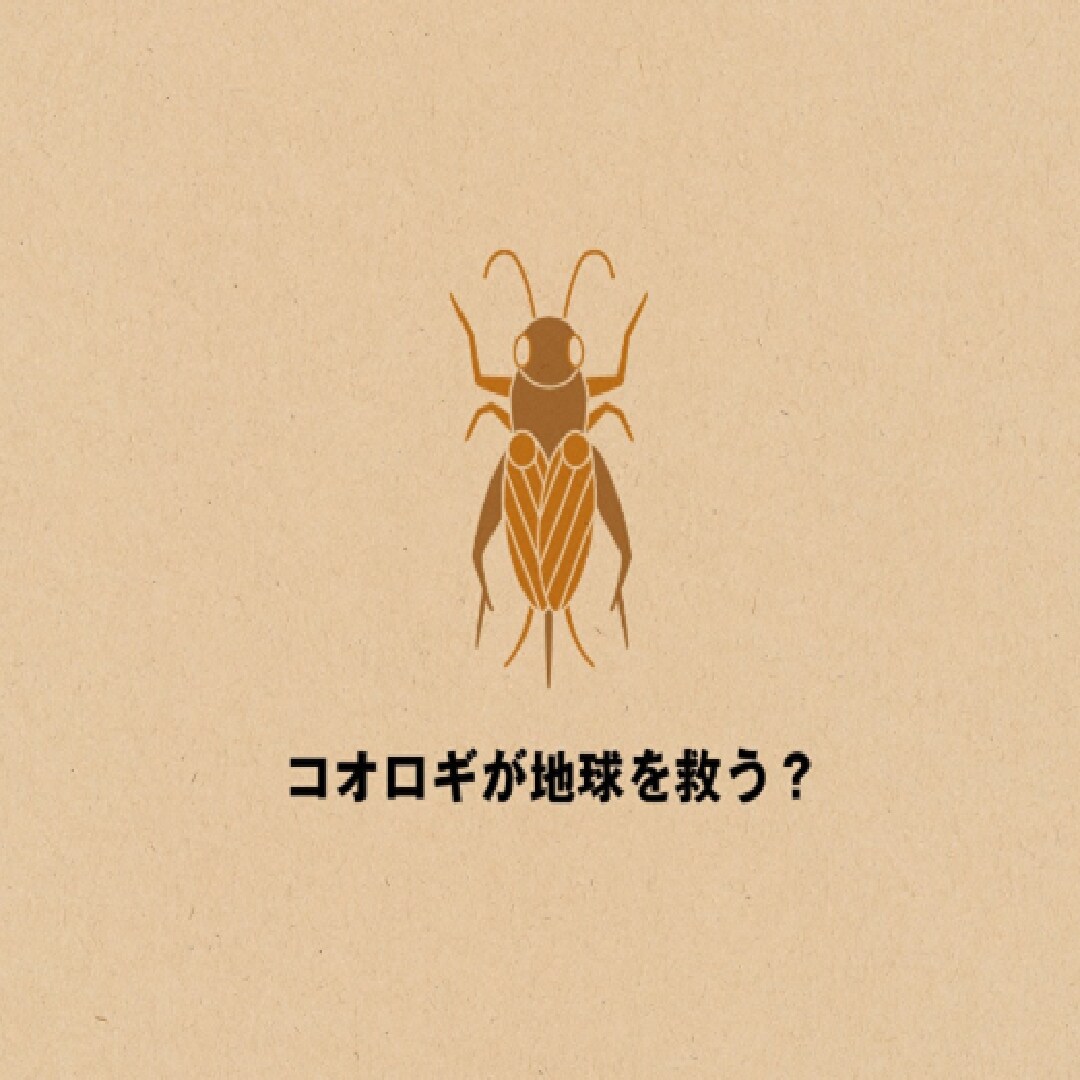 虫
