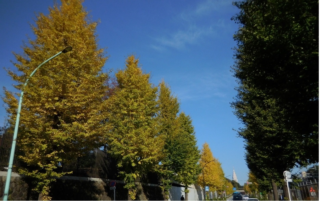 ファイヤー