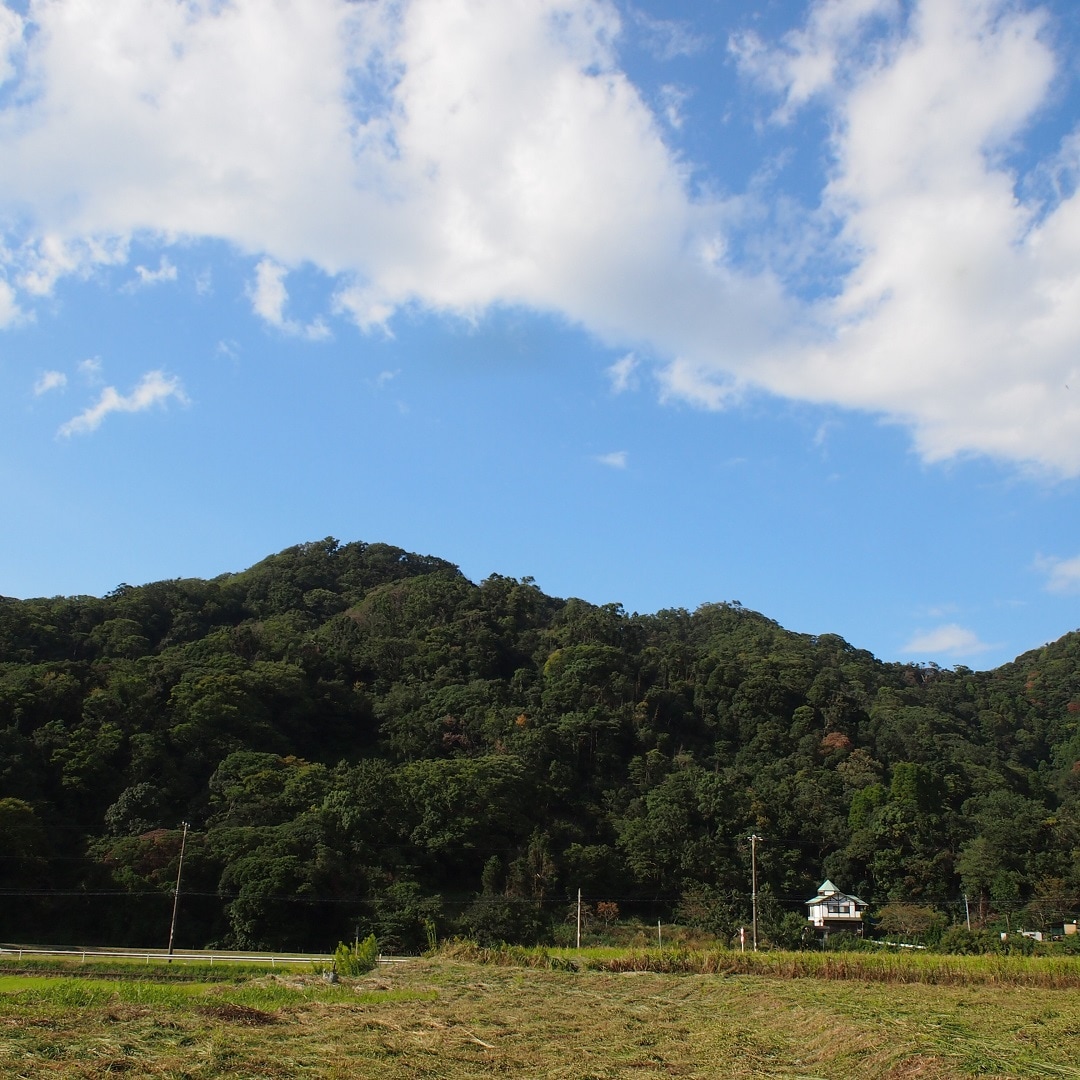 里山風景