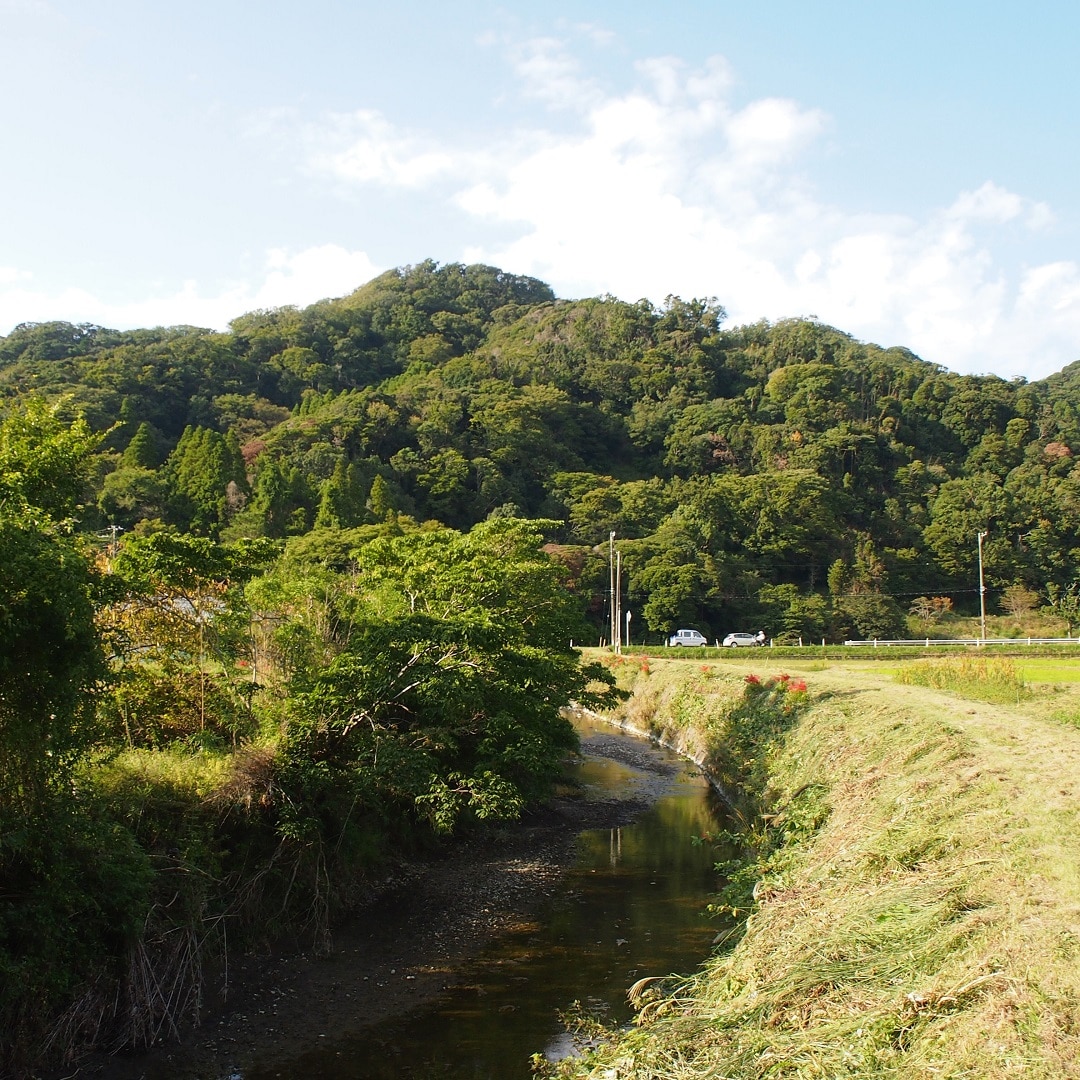 鋸南町風景