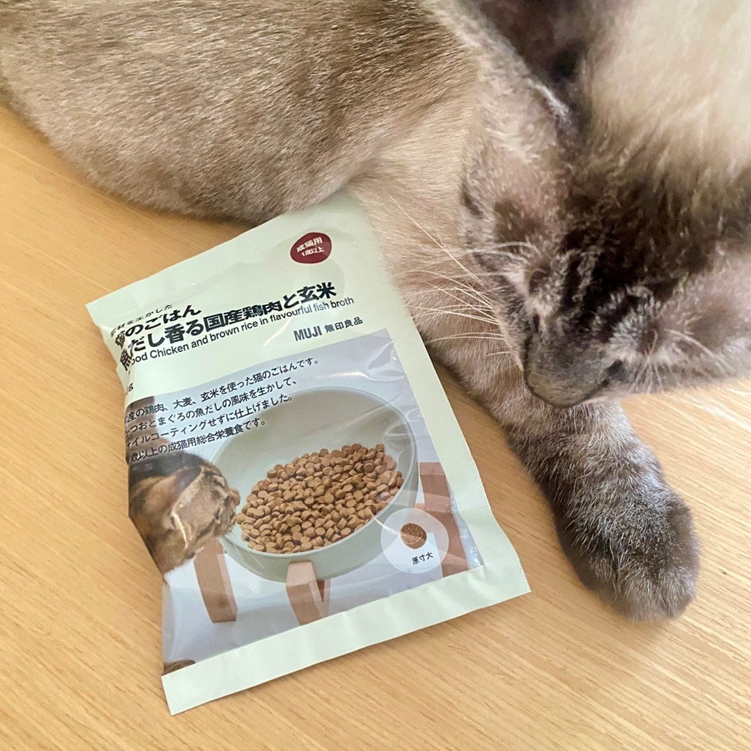 【エスパル福島】8月8日は「世界猫の日」_JZvjL7