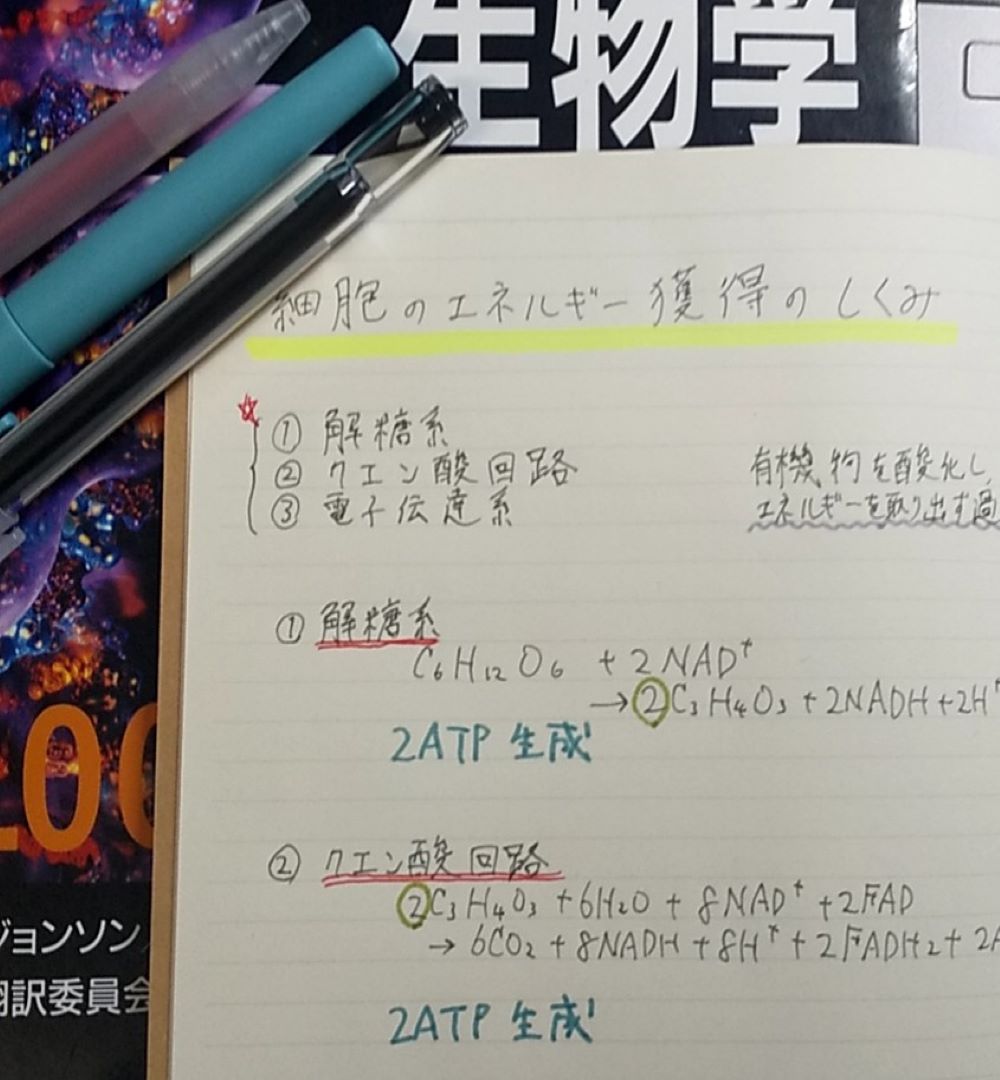 水性ペン 本文②