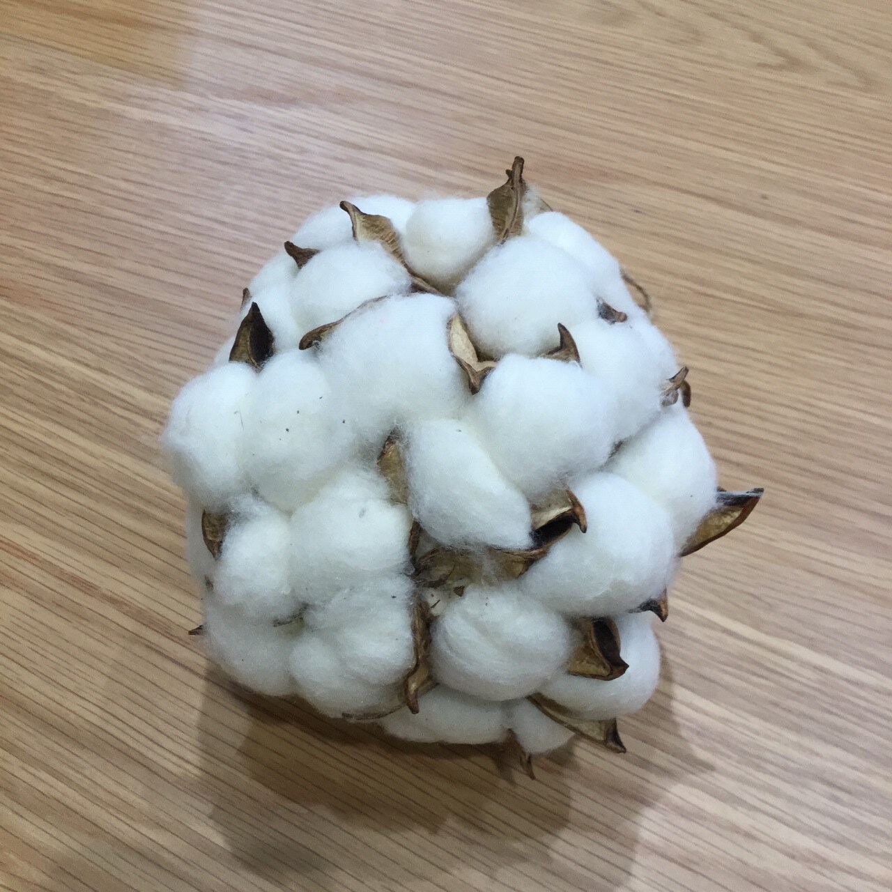 綿