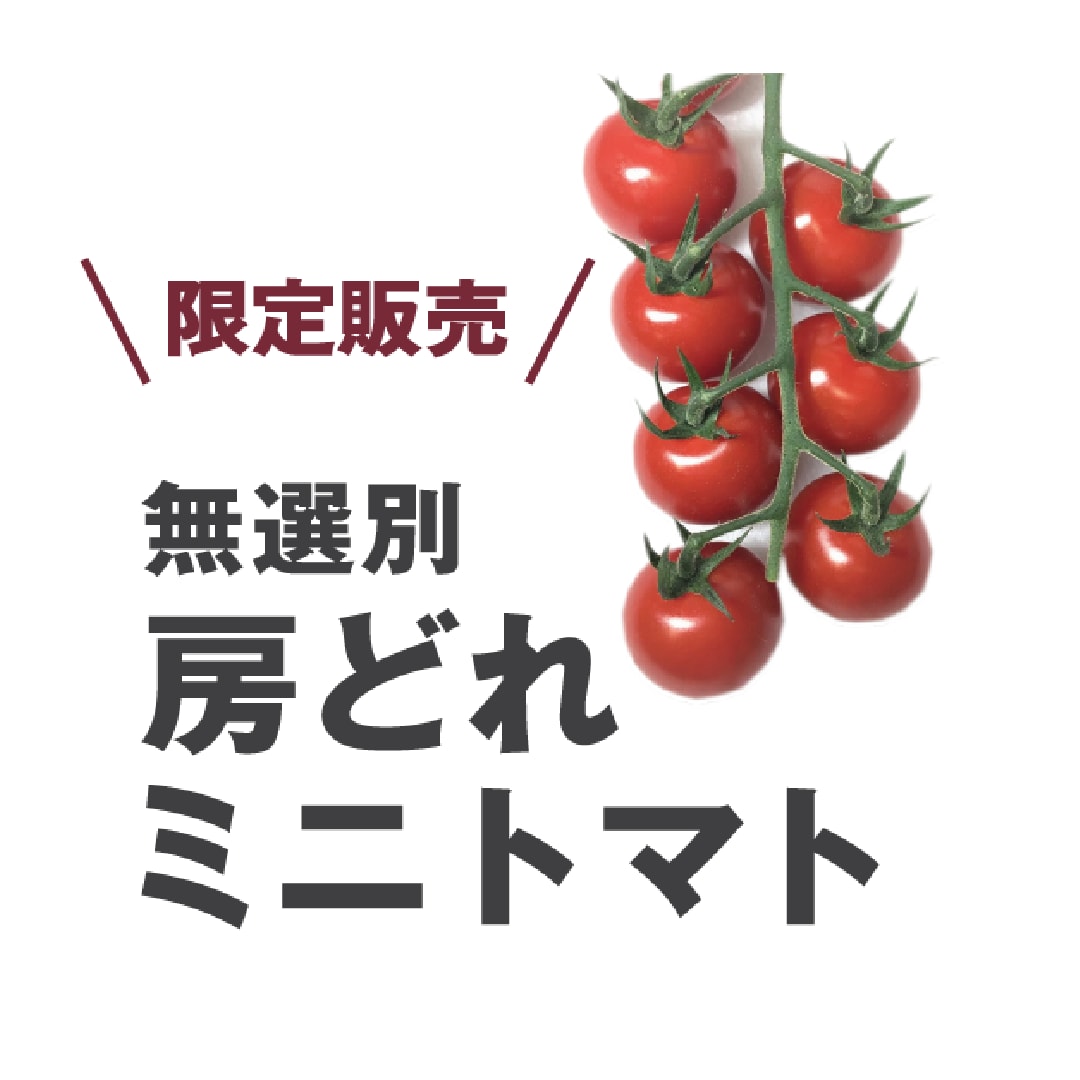 【イオンモール桑名】先週のベスト３