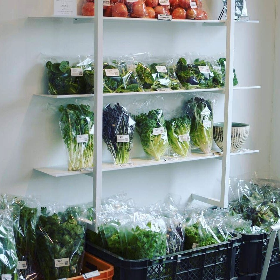 野菜陳列