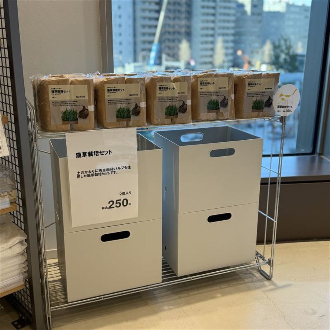 猫草の売場の画像