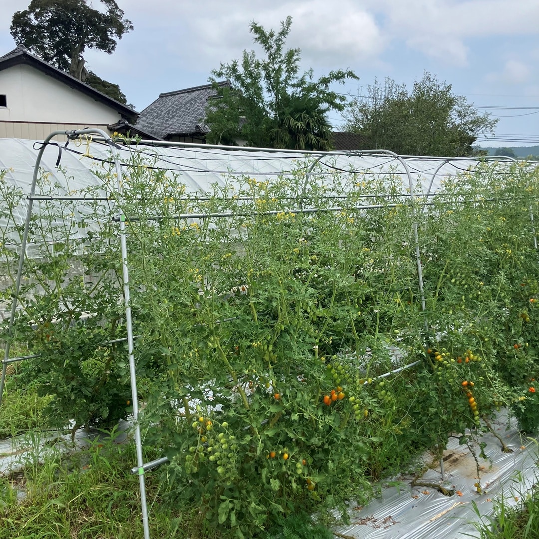 061770_20260209_00_17