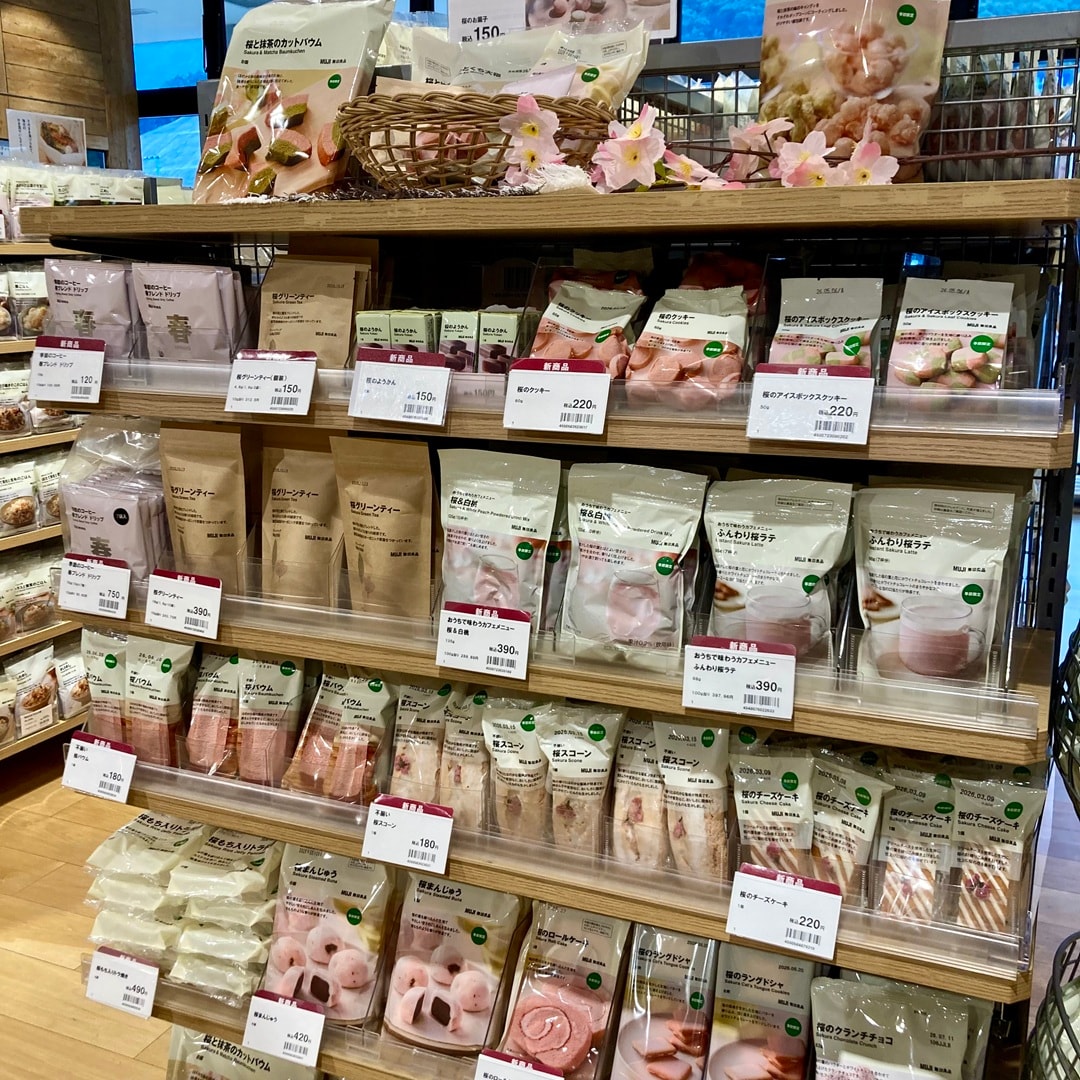 046670.2026.2.24.05ｓｓ