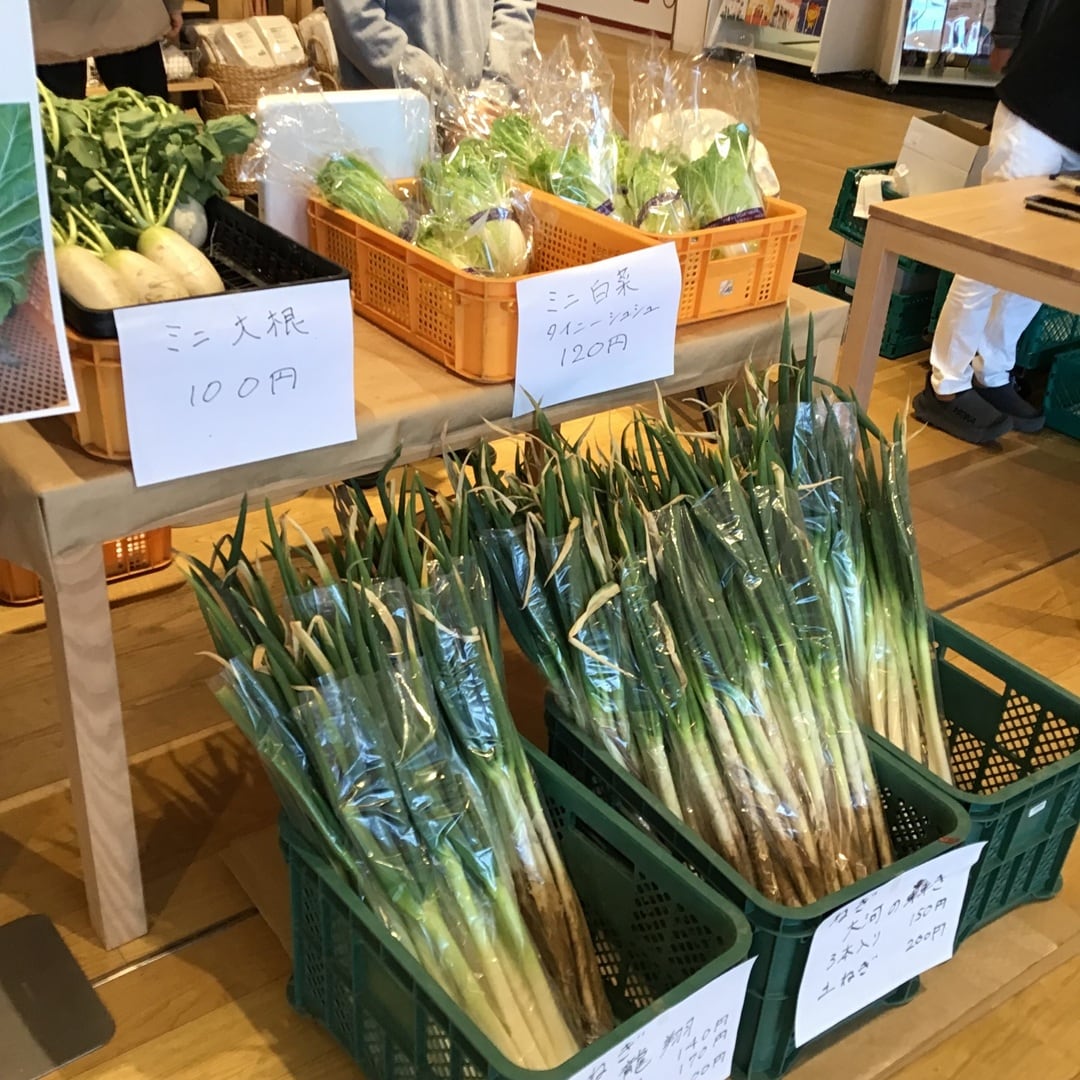 061770_20260226_00_13