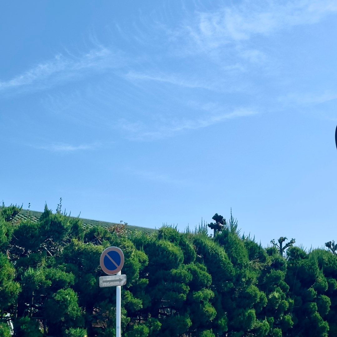 さらっと綿靴下 青空