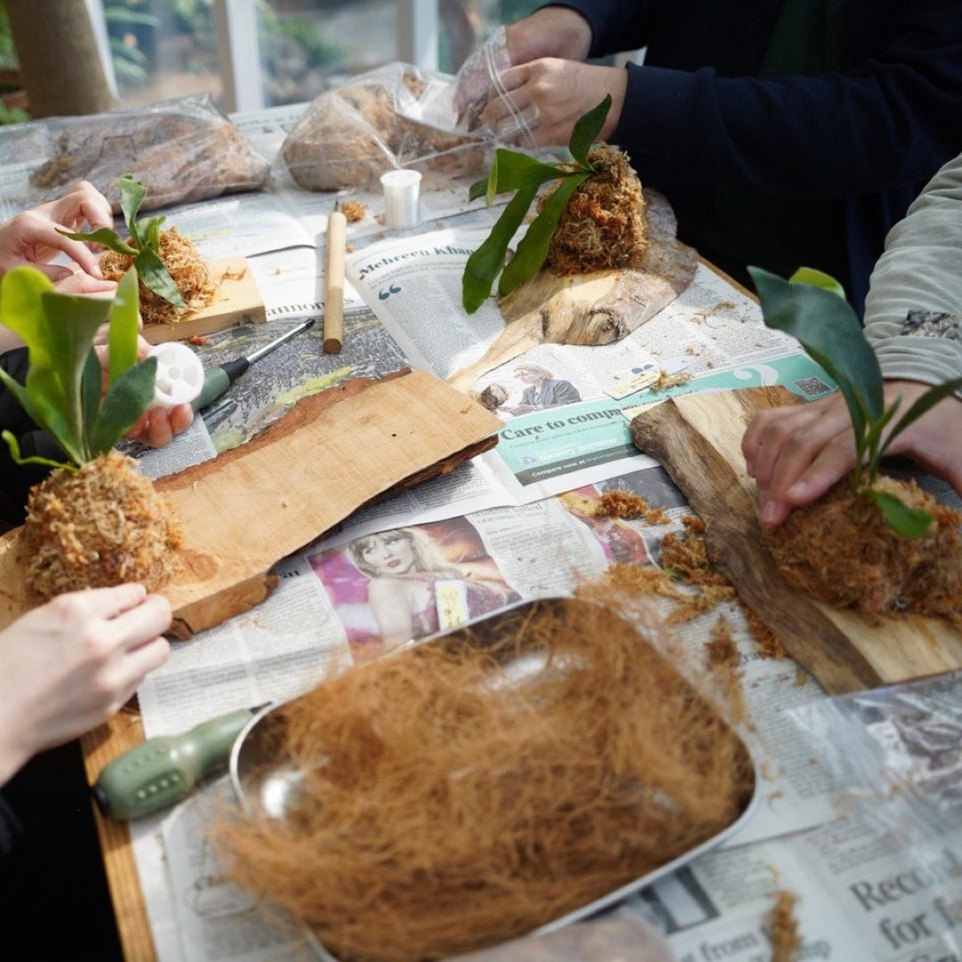 神戸阪急_つながる市
