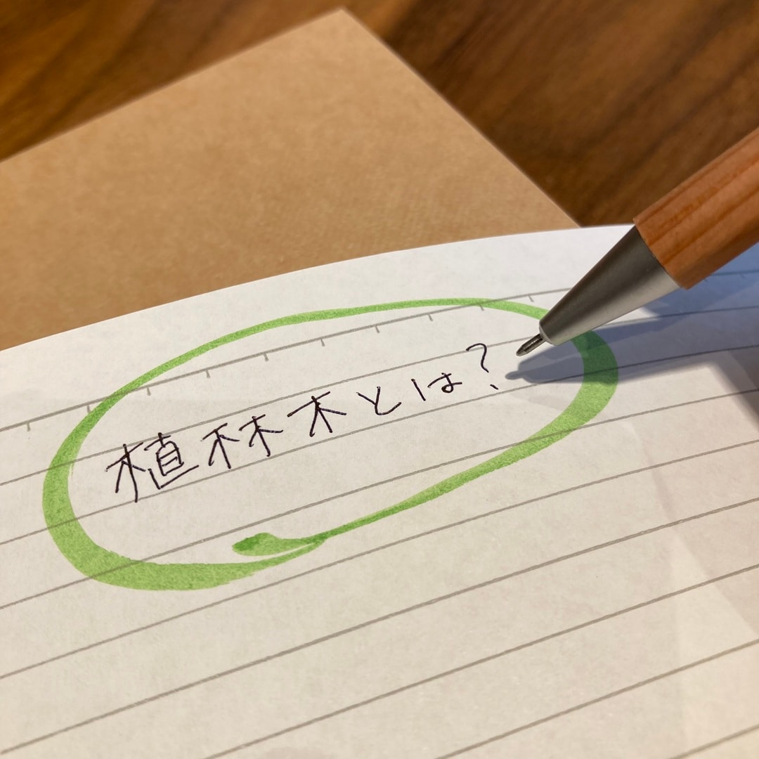 046670.2026.3.28.01n