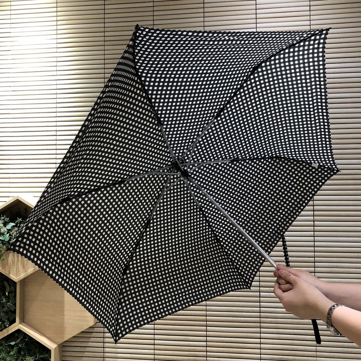 晴雨兼用