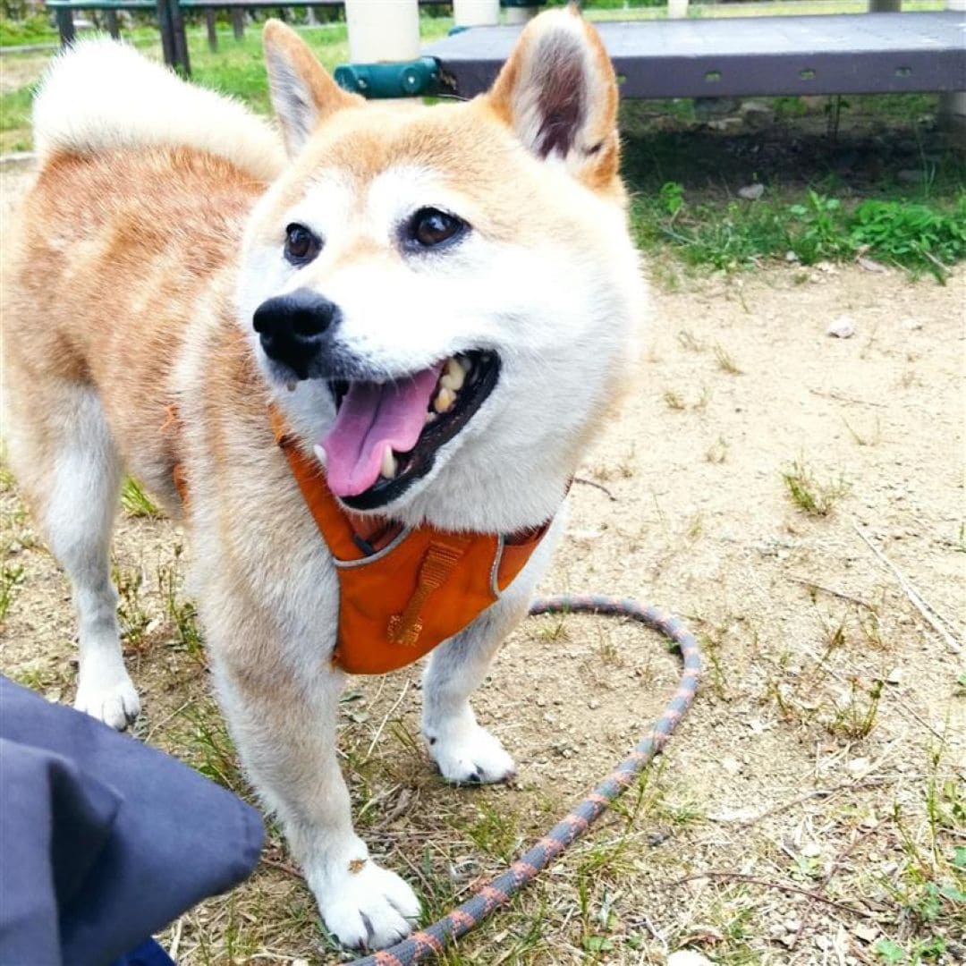 【神戸阪急】最初