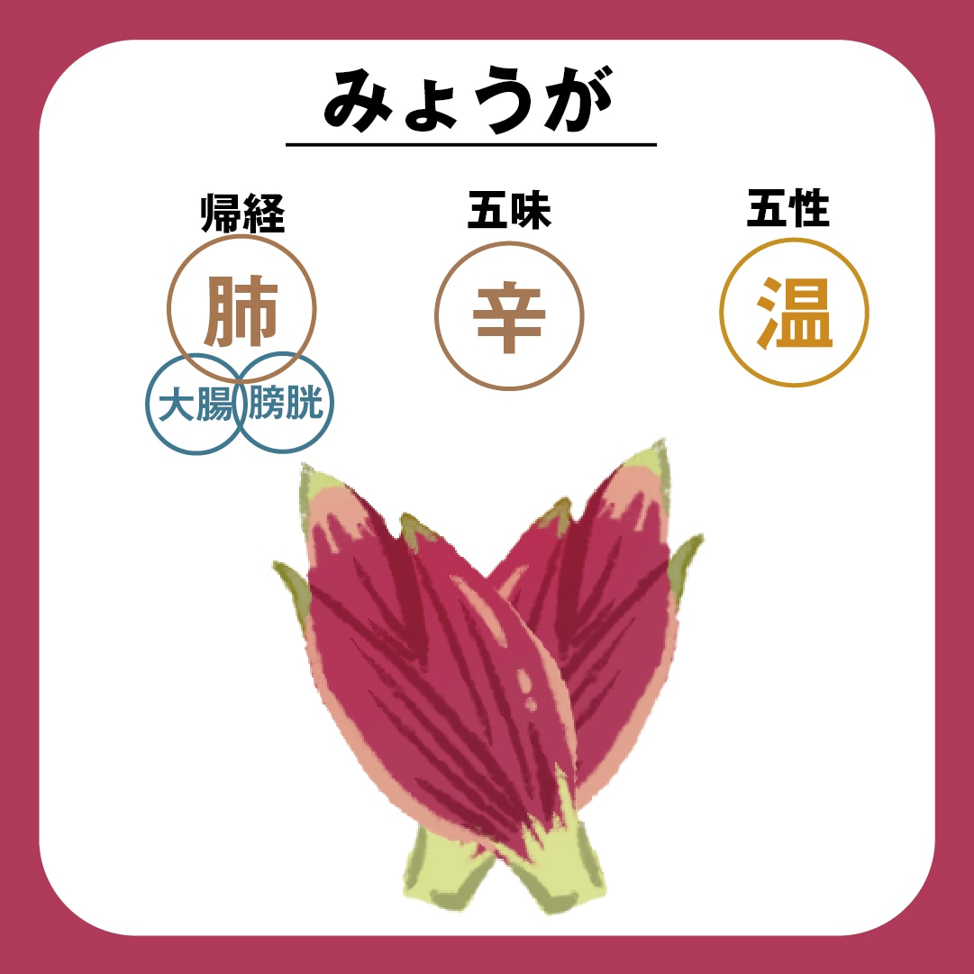画像５　夏の薬膳