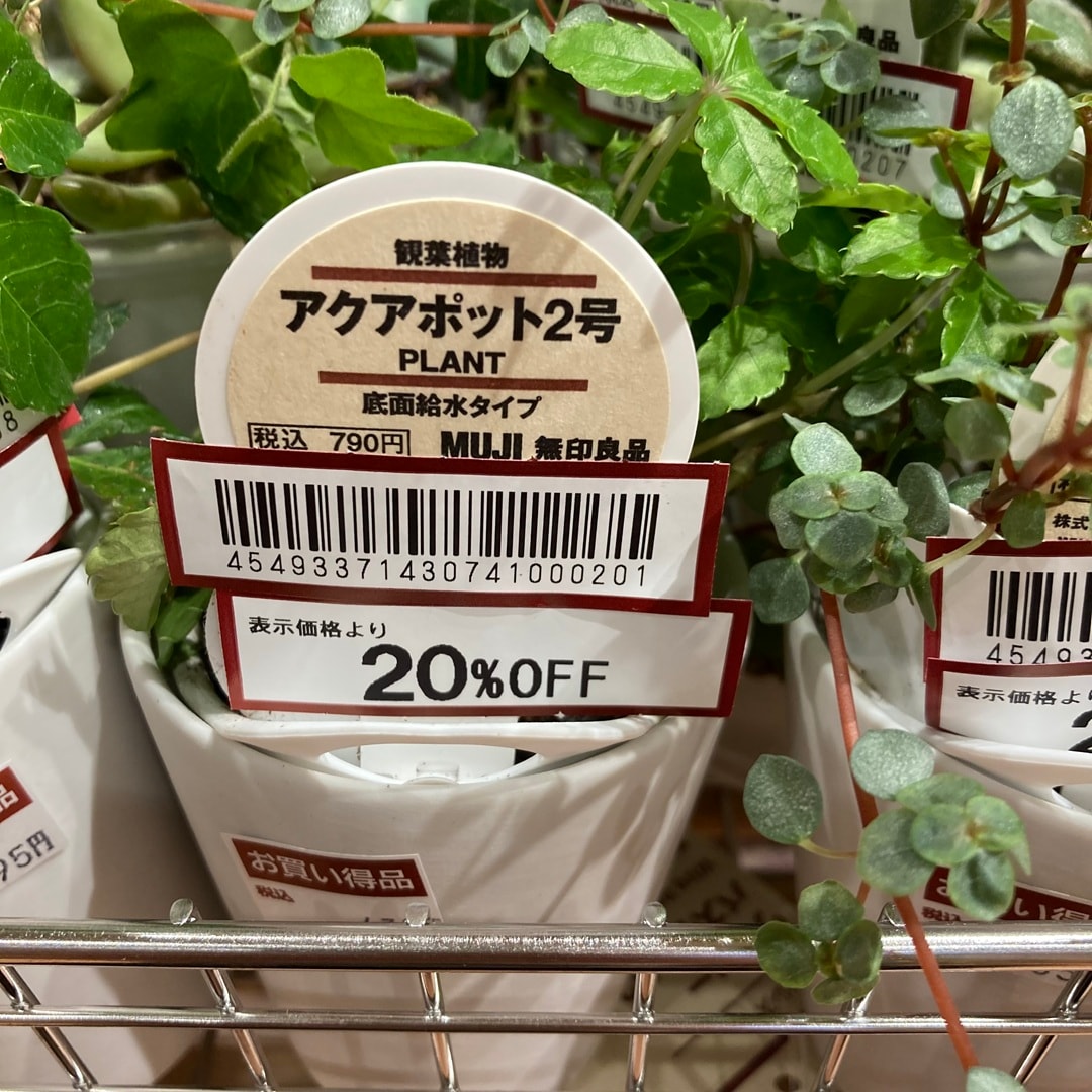 【那珂川】グリーン訳ありセールのお知らせ_2TwKy7