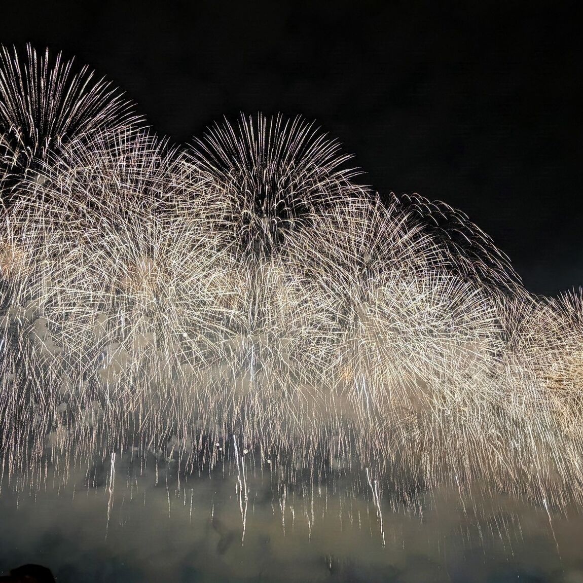【CoCoLo長岡】 長岡花火レポート　2026_202kzd