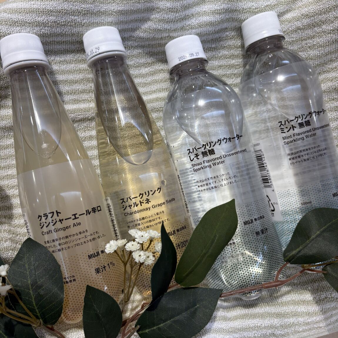 炭酸飲料　全体写真