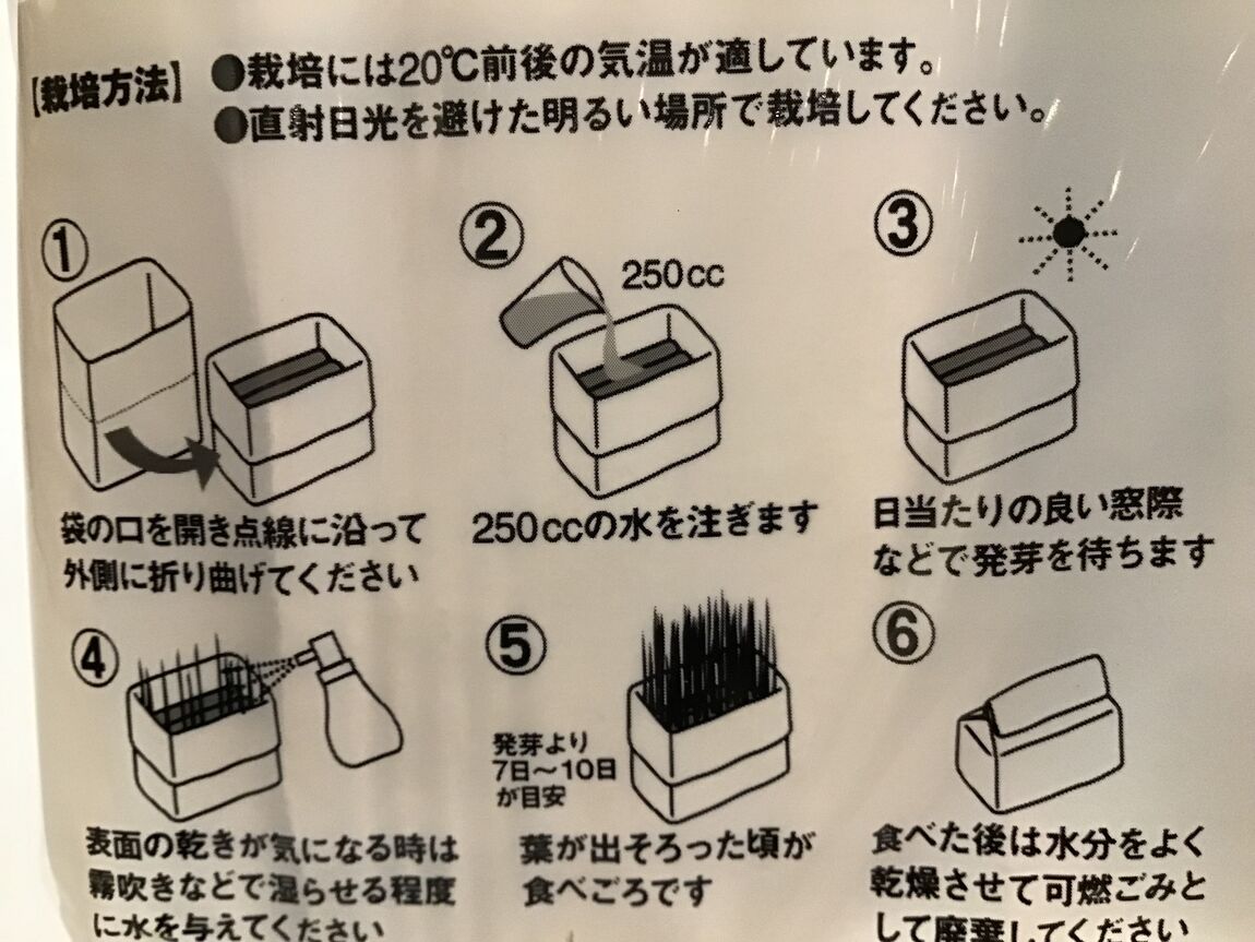 【イオンモール宮崎】可愛い家族のために。_PsuWu9
