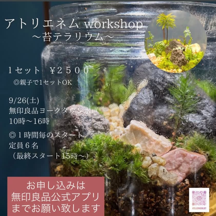 【ヨークタウン水戸】9/26(土)-27(日)『秋麗つながる市』開催のお知らせ_QFKmn8