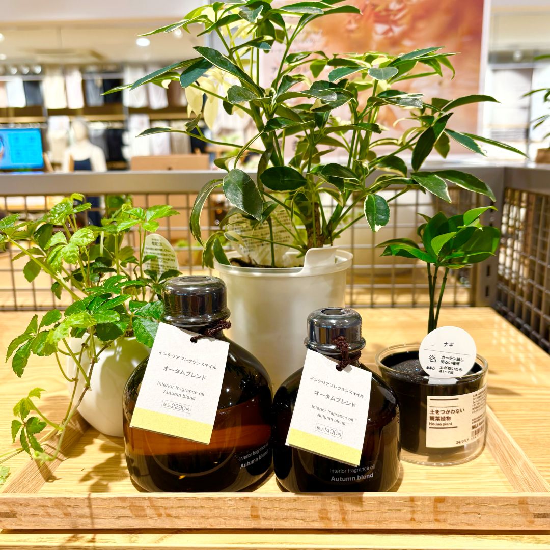 【フレスポ深堀】季節限定　『秋の香り』_slQVB0