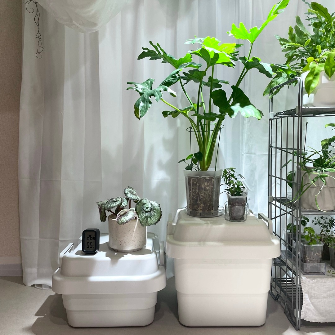 【キャナルシティ博多】植物とくらす_53SgtT