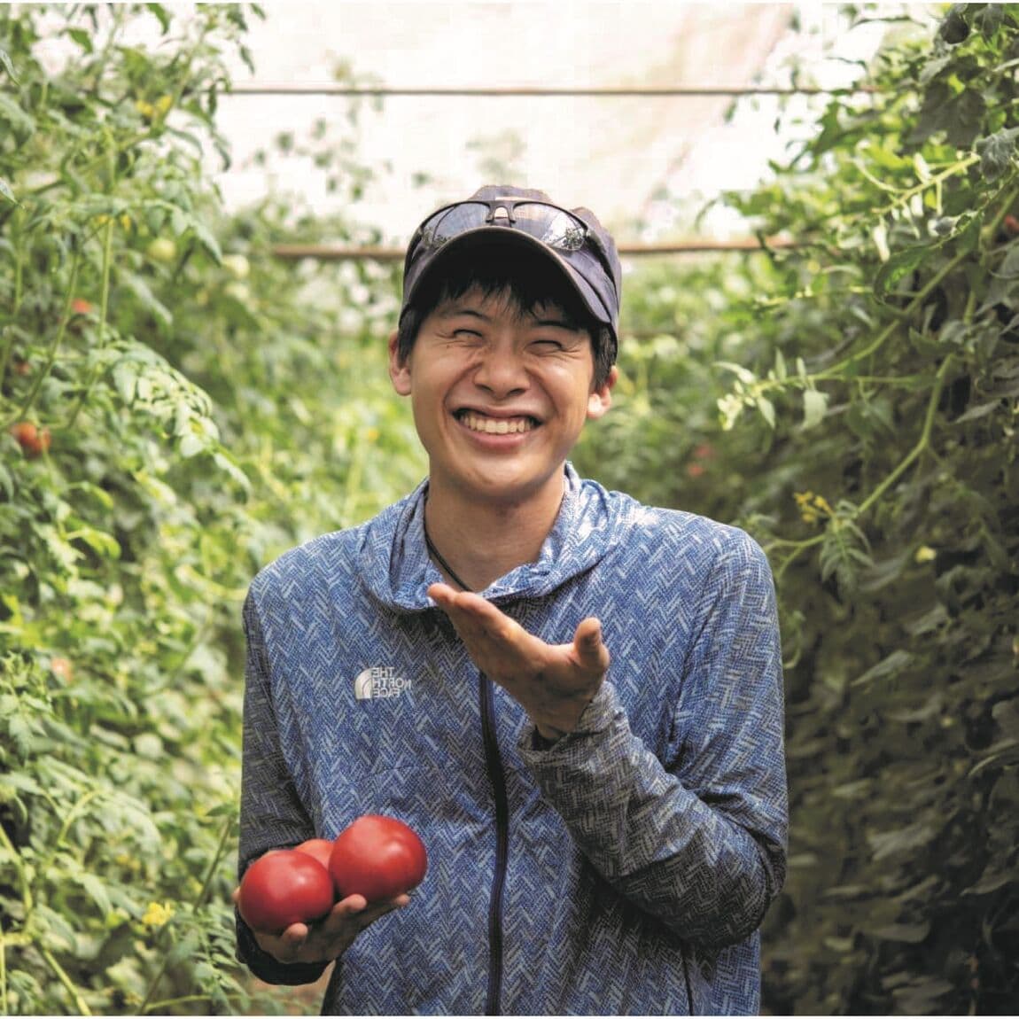 【堺北花田】みんなで学ぼう、トマトの秘密｜食育イベント