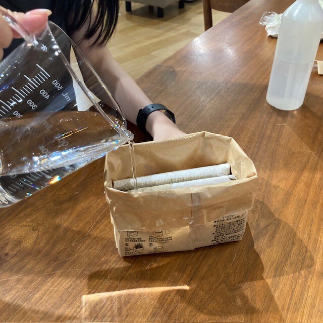 【COCOSA熊本】　猫草栽培セットを育ててみました