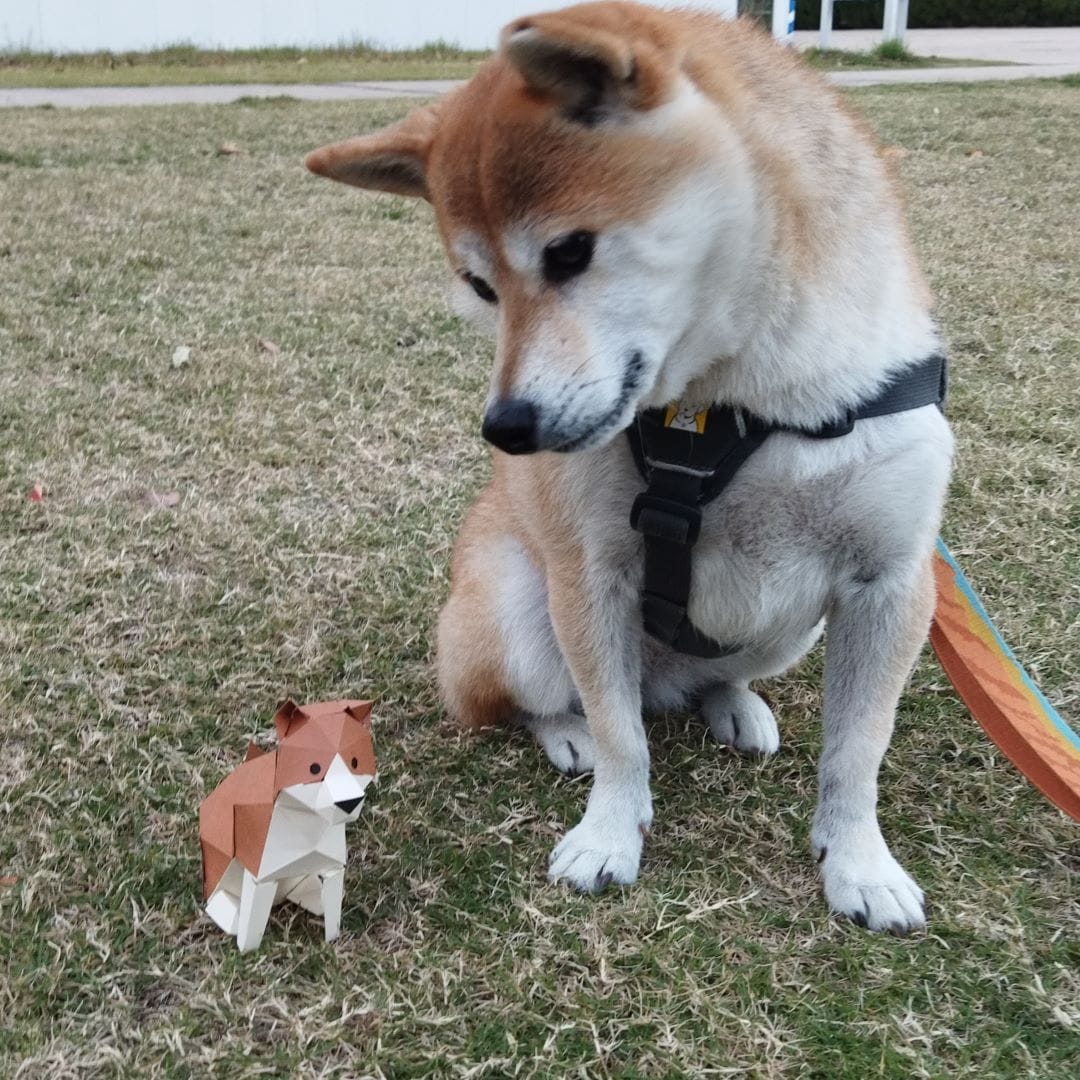 【神戸阪急】ふたりで