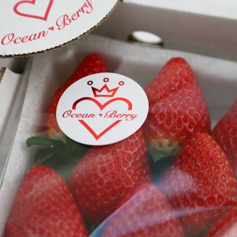 地域限定発売 神奈川のミルフイユいちご＆バニラ