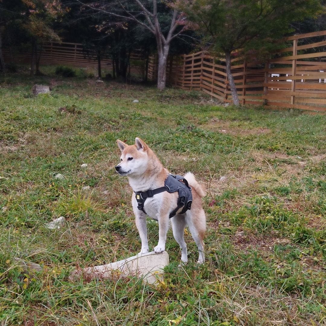 【神戸阪急】次へ