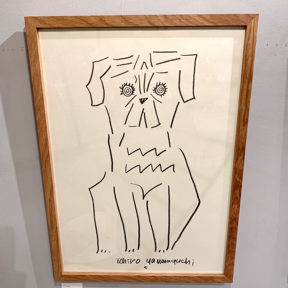 犬