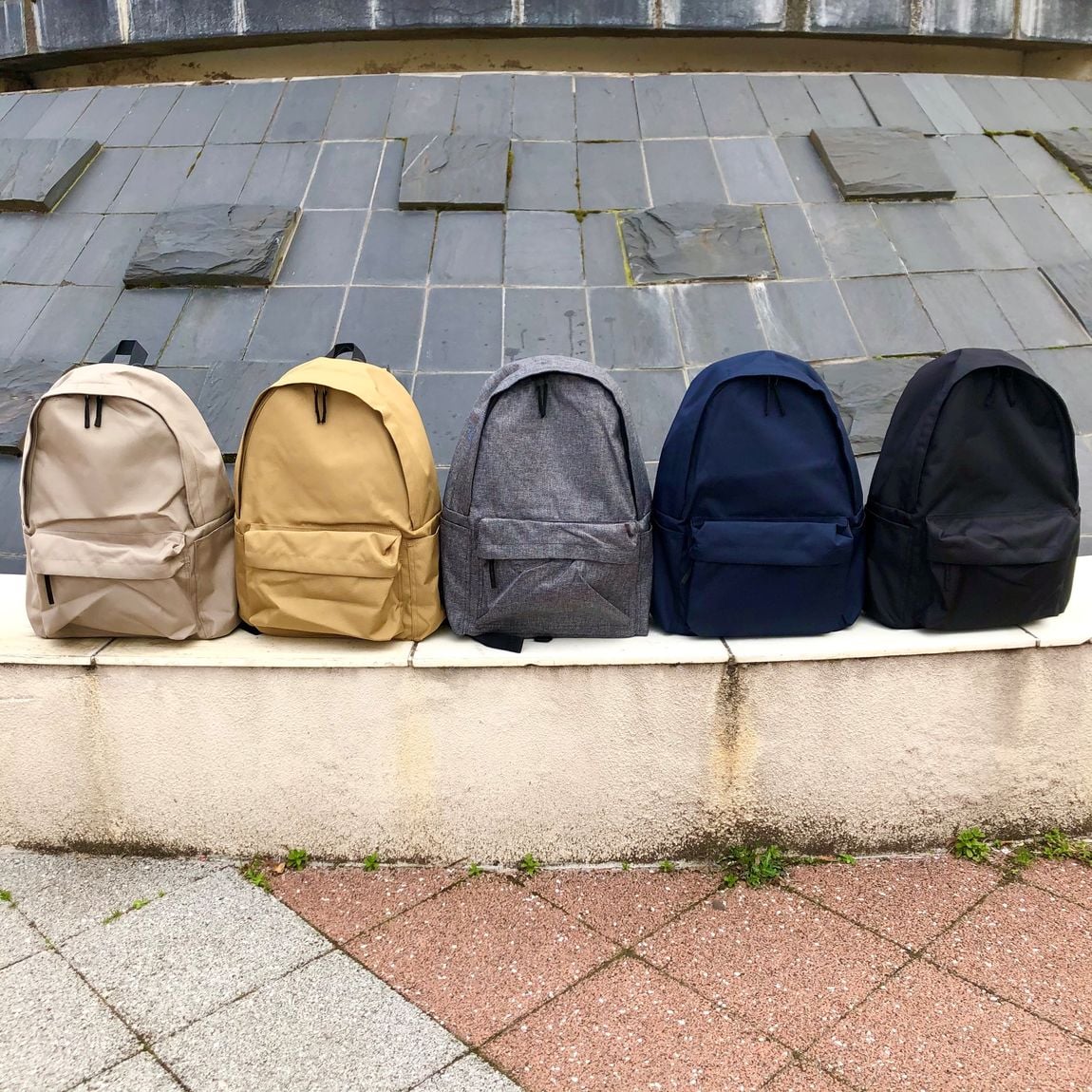色展開