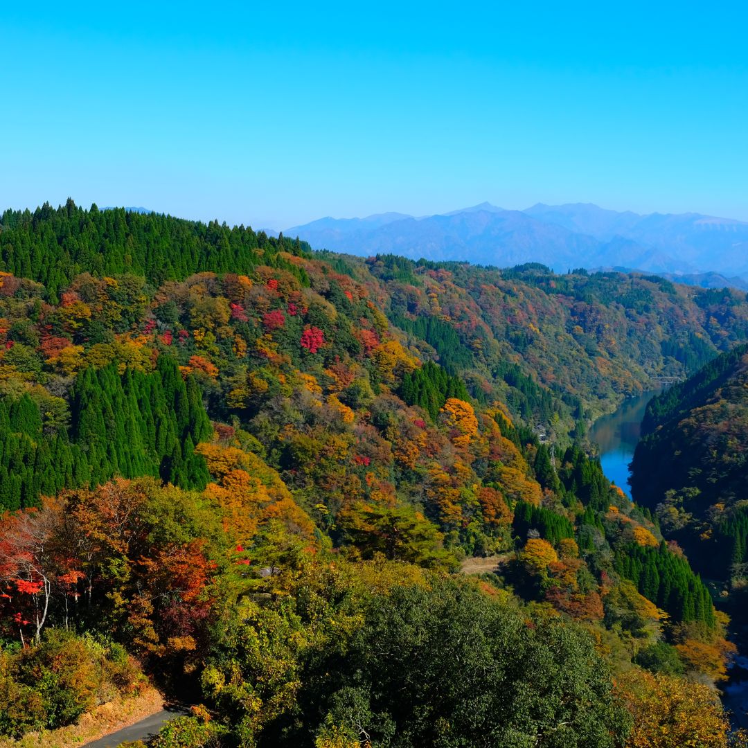 【銀座】つながる市 〈くまもと 山都町編〉を開催します　