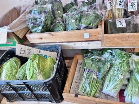 伊達市つながる市　まるにこいちば館山農園