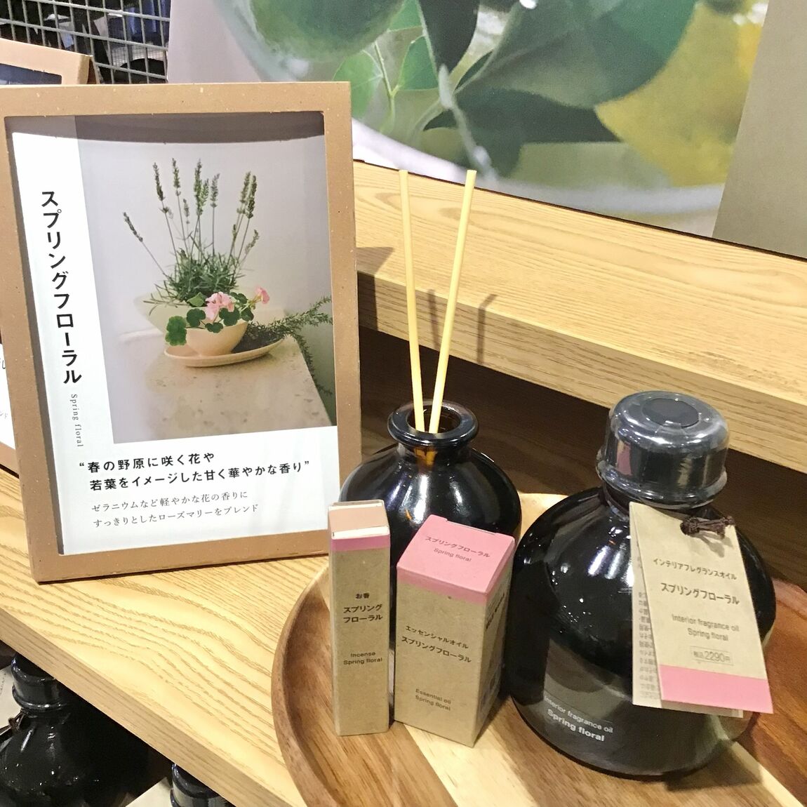 【具志川メインシティ】春の香り