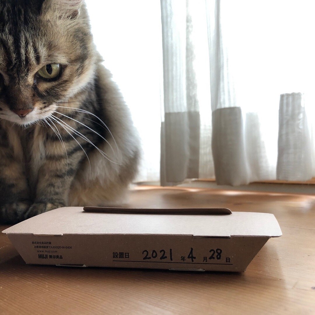 【ゆめタウン下松】クラフト紙ごきぶり取りのご紹介