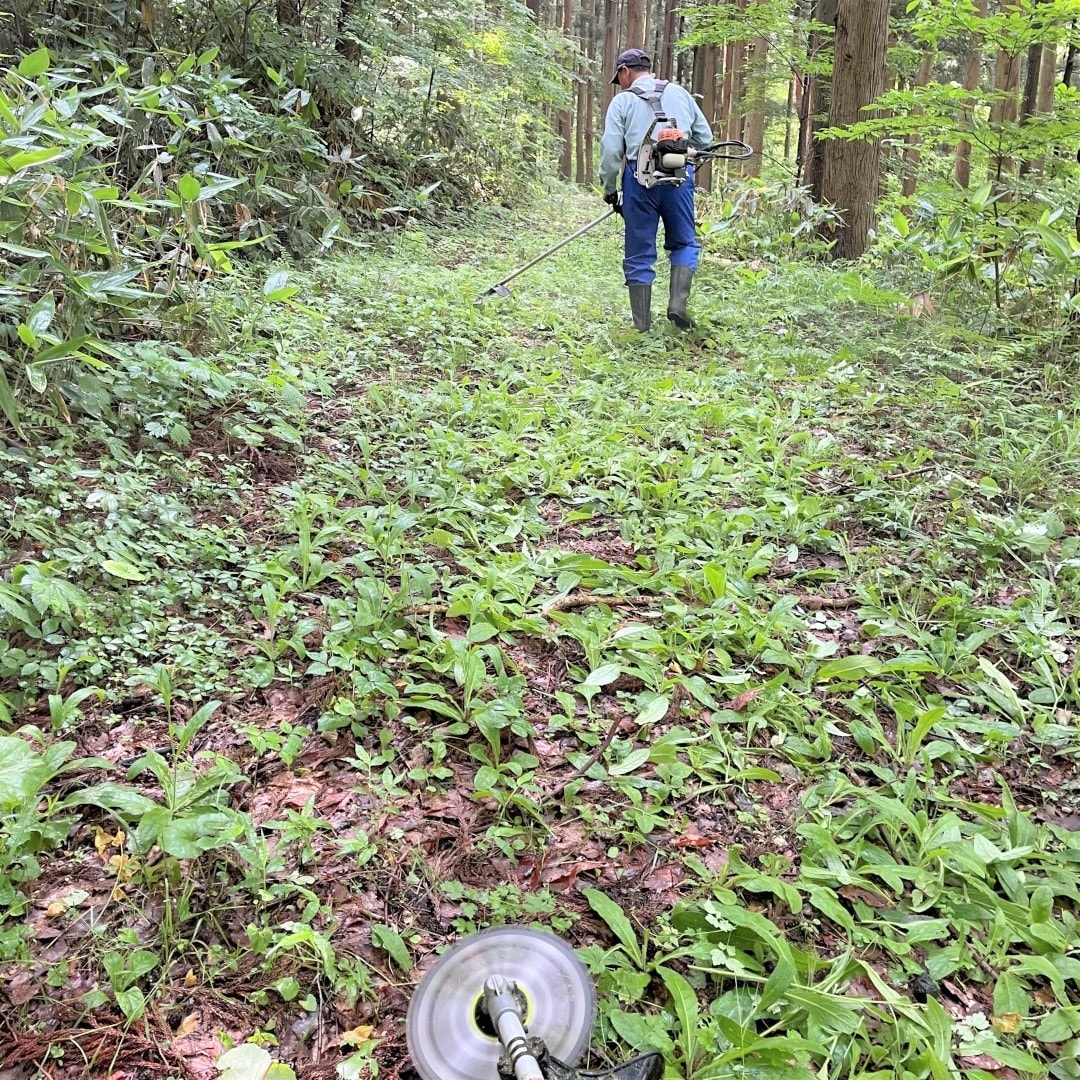 山道の刈り払い