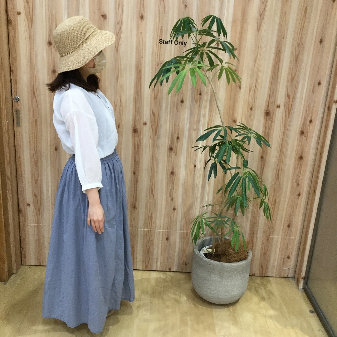 キャペリン全身
