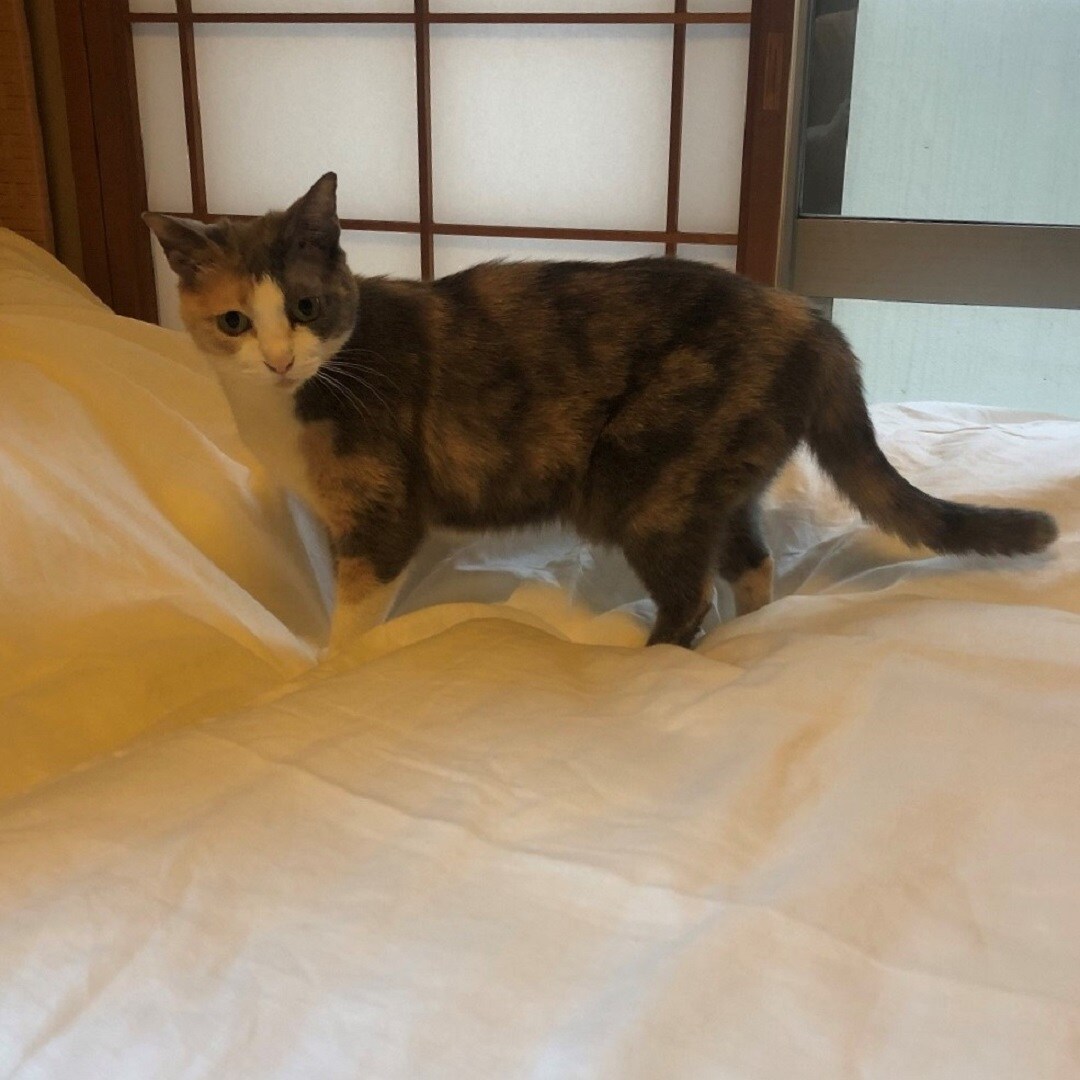 寝装３