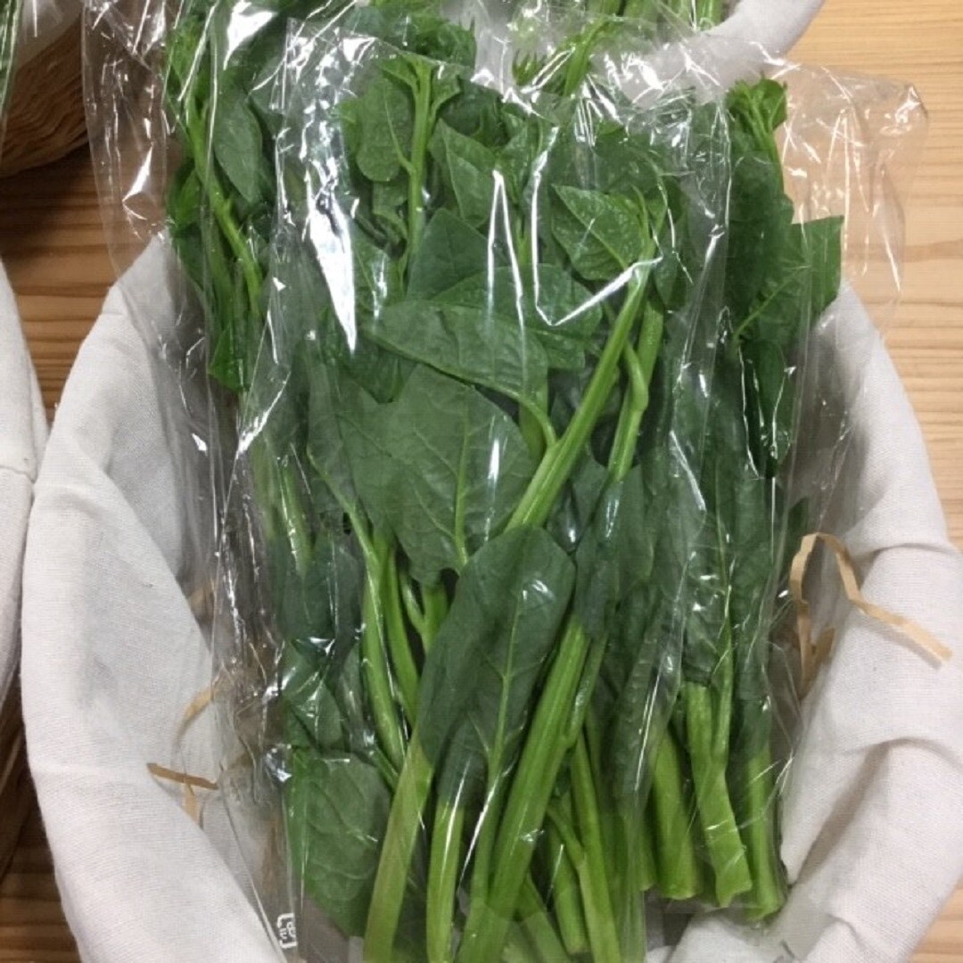 つるむらさき