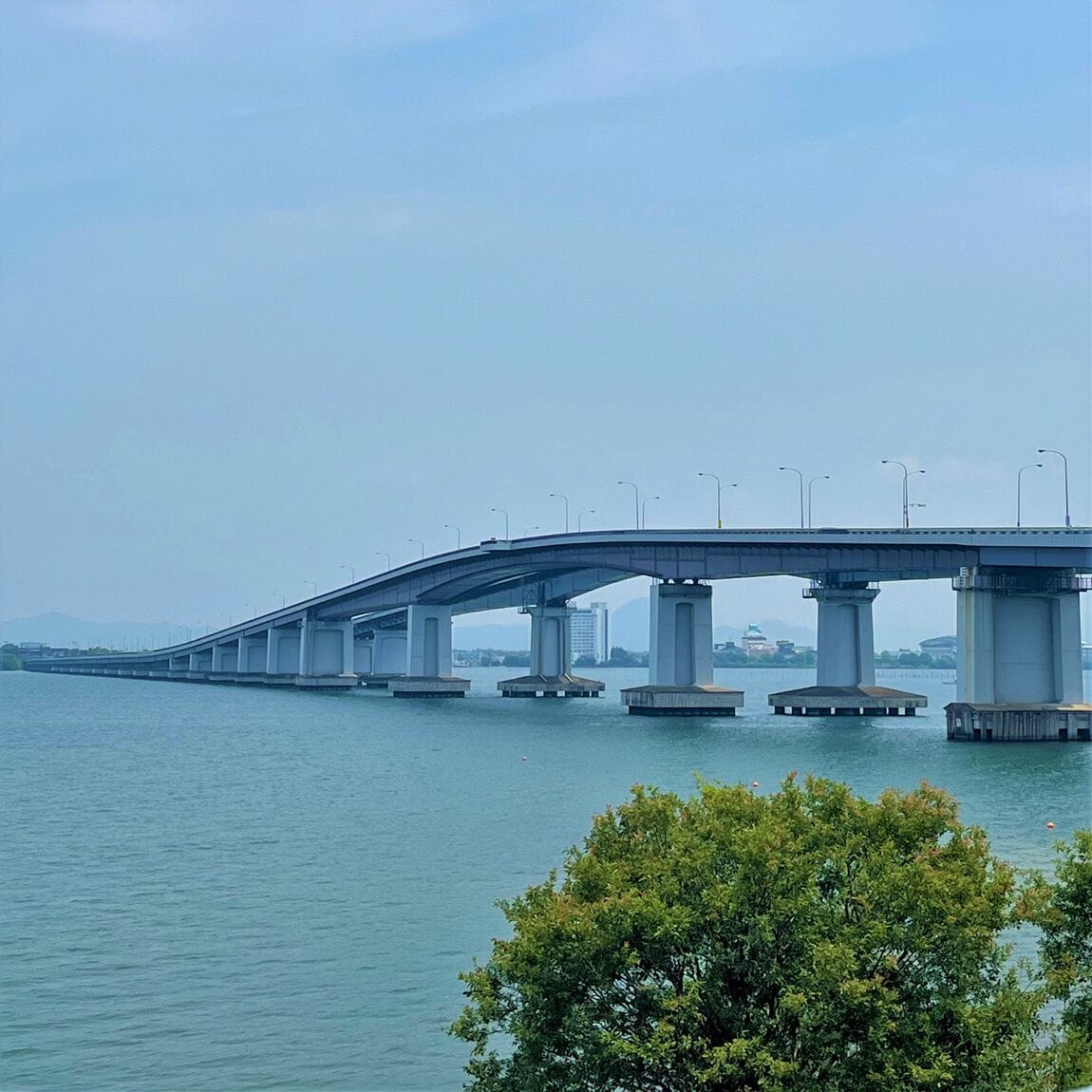 【堅田】オープン告知琵琶湖大橋